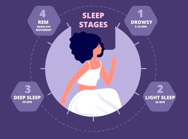 The 4 Stages of Sleep - My Universe of Sleep